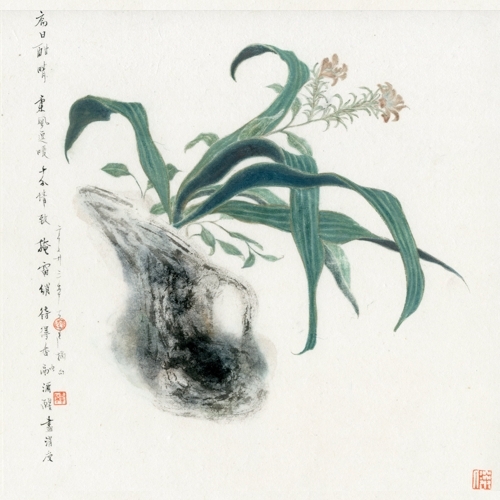 逗暖