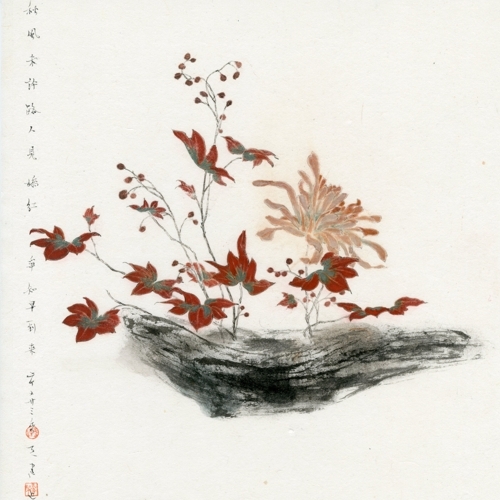 嬌紅早知到