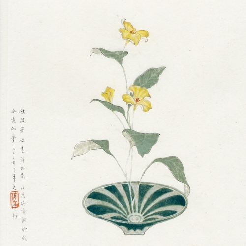 素淨的影